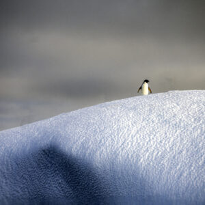 Silence et Solitude - 11/2025